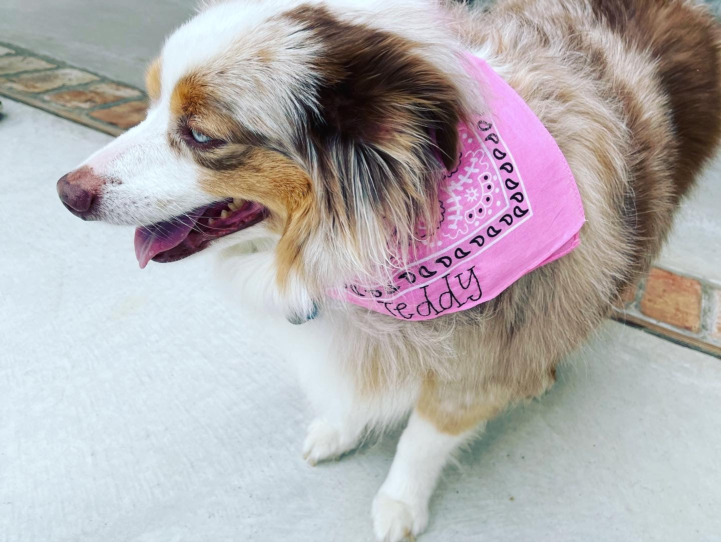 Embroidered Bandana