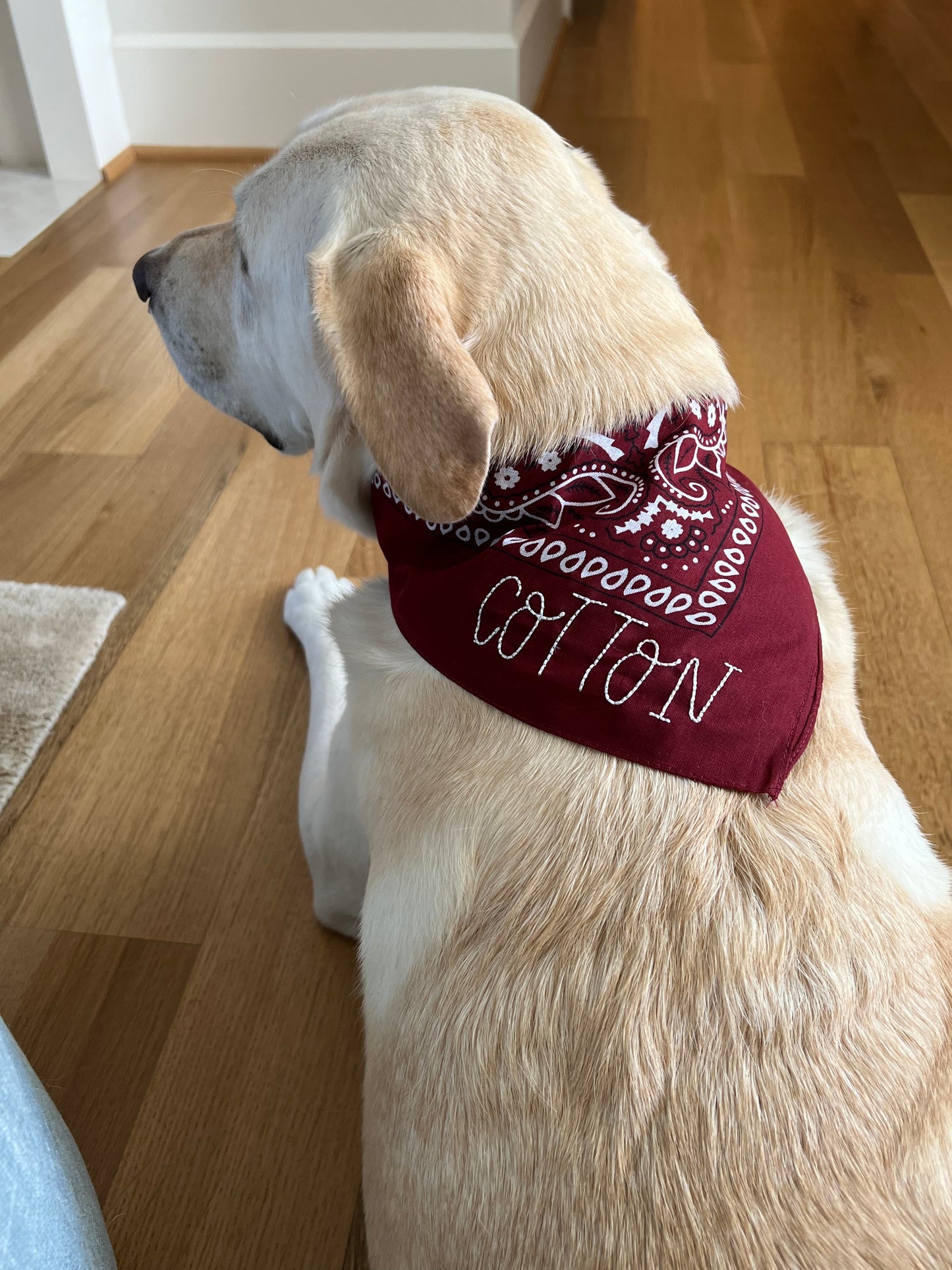 Embroidered Bandana